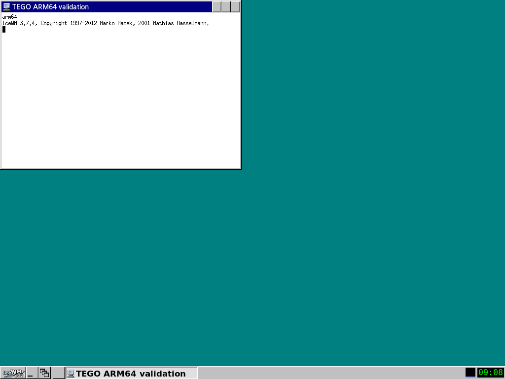TEGO ARM64 기존 검증 환경 화면